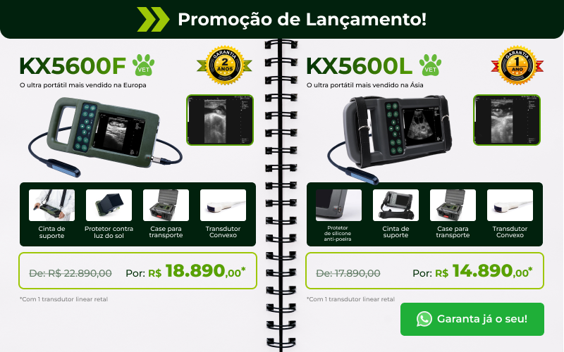Clique para solicitar um orçamento pelo WhatsApp
